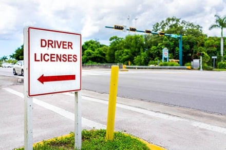 Drivers License Renewal